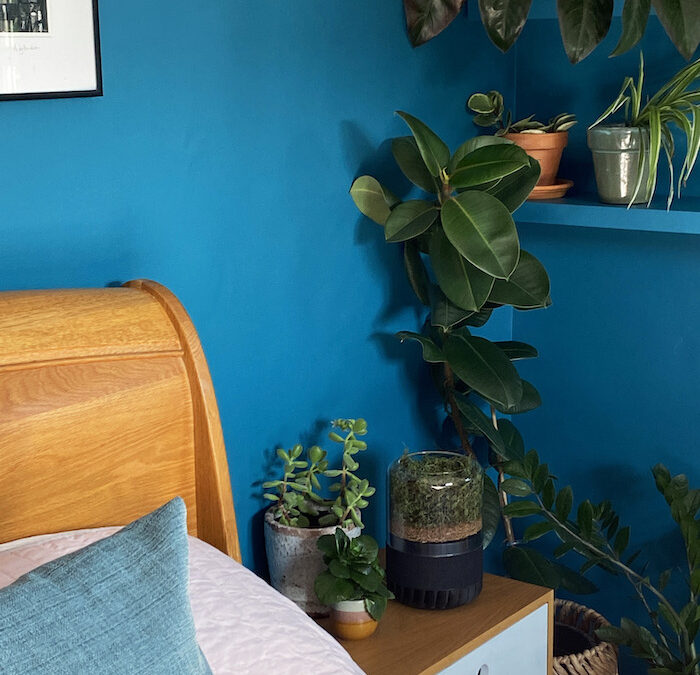 Review of the briiv 2 Pro Air Filter